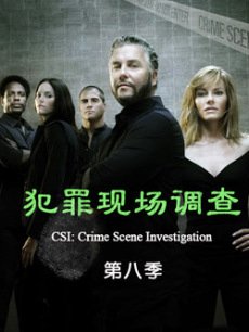电视剧《CSI犯罪现场调查第8季》 在线观看、