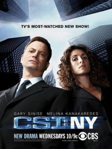 电视剧《CSI犯罪现场调查第3季:纽约篇》 在线